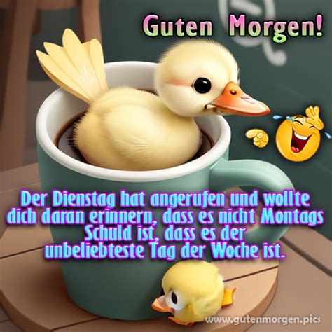 dienstag lustig witzig guten morgen|gute morgen freche lustig.